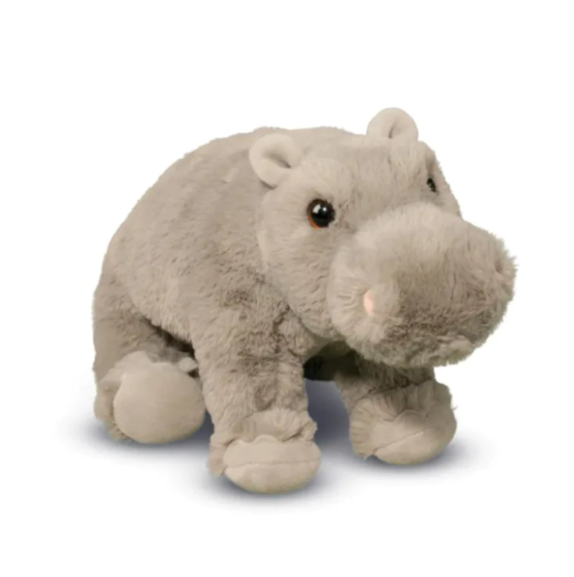 Hollie Hippo