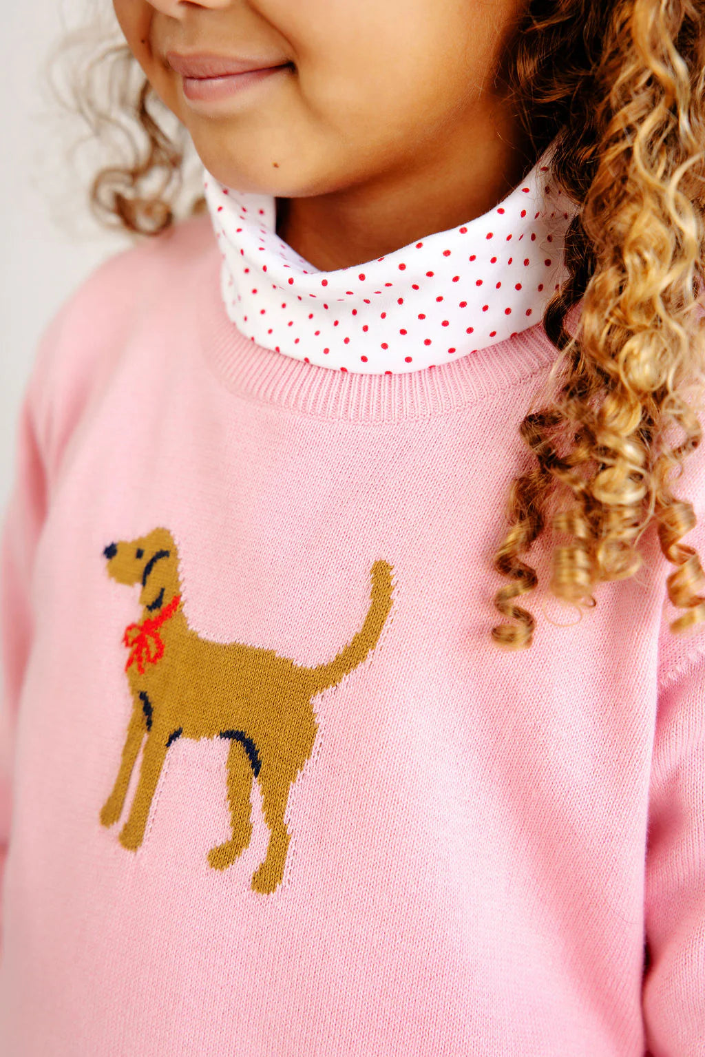 Isabelle's Intarsia Sweater - Hamptons Hot Pink/Dog